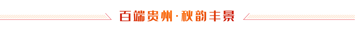 �ٶ˹���