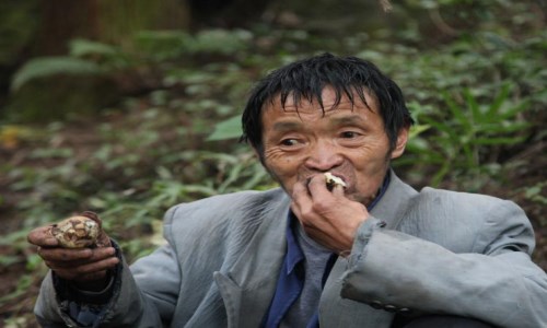 ��һ�����������й���Ϊ���������Ҫ���Ҹ�