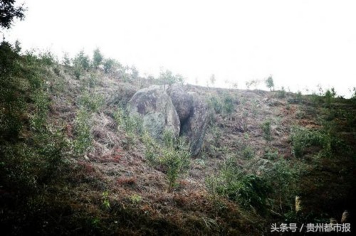 ��ƽ���֡�Ů�ʯ�����������ӡ����ߵġ�������������