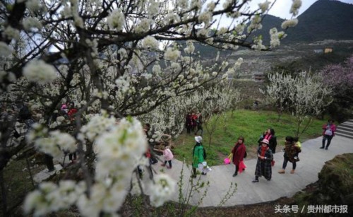 �ó��ֺÿ���5���ο��غӿ�� ũ�񲮲�Ц�ҿ�