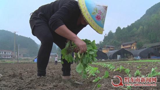 baofengjietu201710271618713.jpg