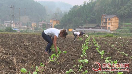 baofengjietu201710271782701.jpg